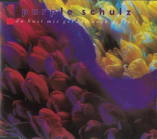 Maxi single purple schulz - purple,